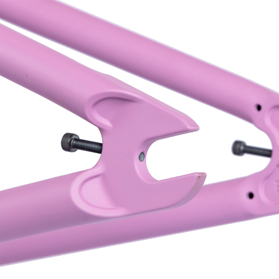 CUADRO FEDERAL LACEY