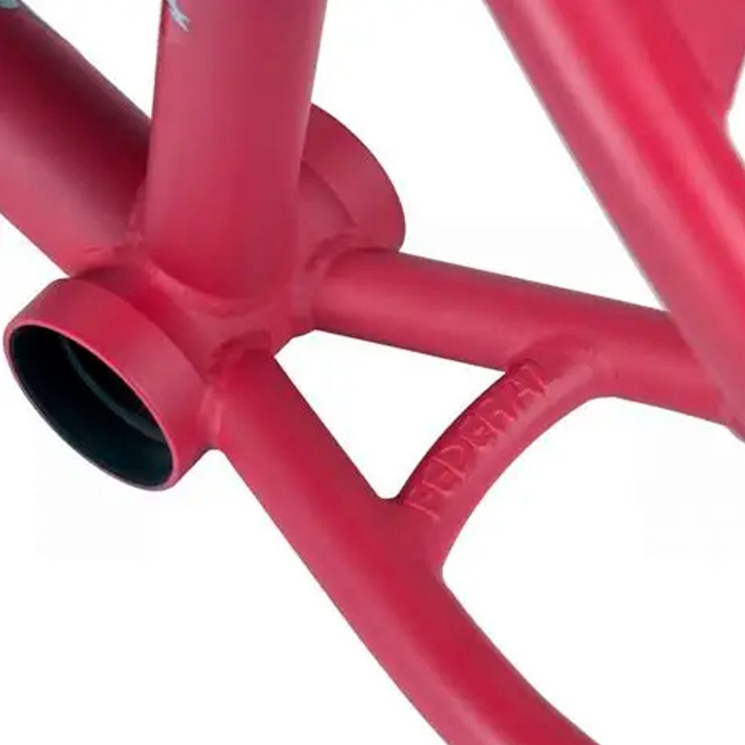 CUADRO FEDERAL LACEY