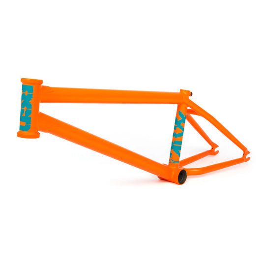 CUADRO BSD ALVX