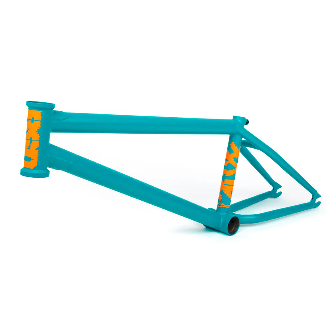 CUADRO BSD ALVX
