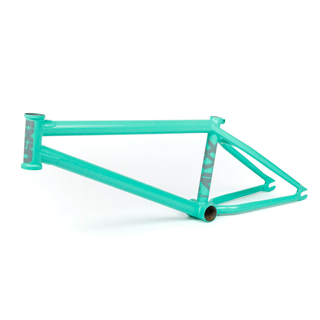 CUADRO BSD ALVX