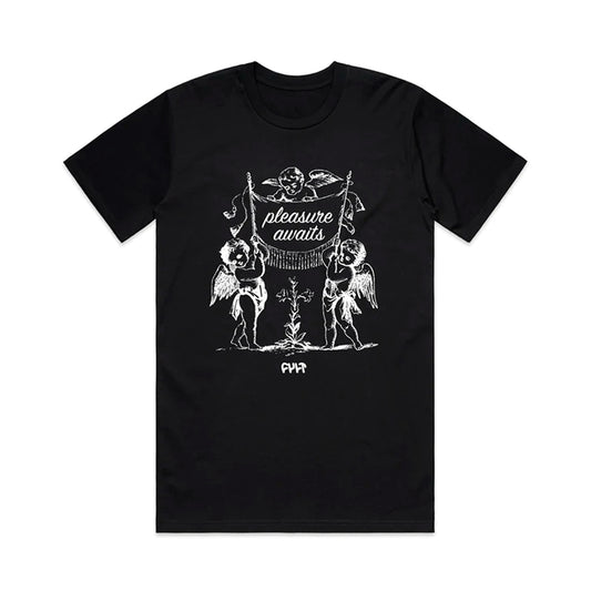 CAMISETA CULT PLEASURE