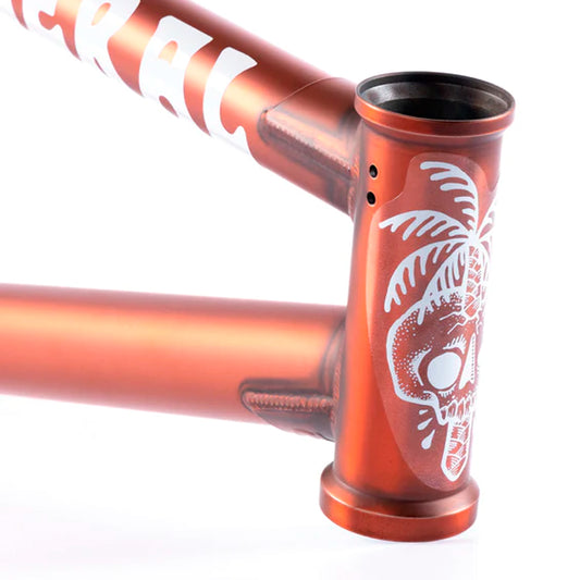CUADRO FEDERAL BOYD